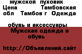 мужской  пуховик  › Цена ­ 2 000 - Тамбовская обл., Тамбов г. Одежда, обувь и аксессуары » Мужская одежда и обувь   